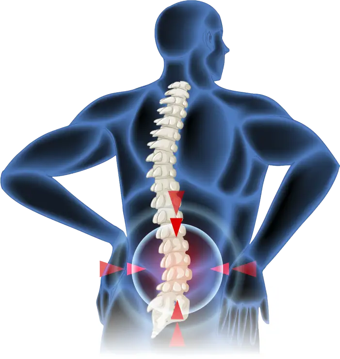 Expert Care for Spinal Health